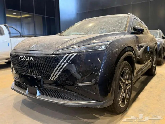 دوينغ فينغ ميج 2025 5