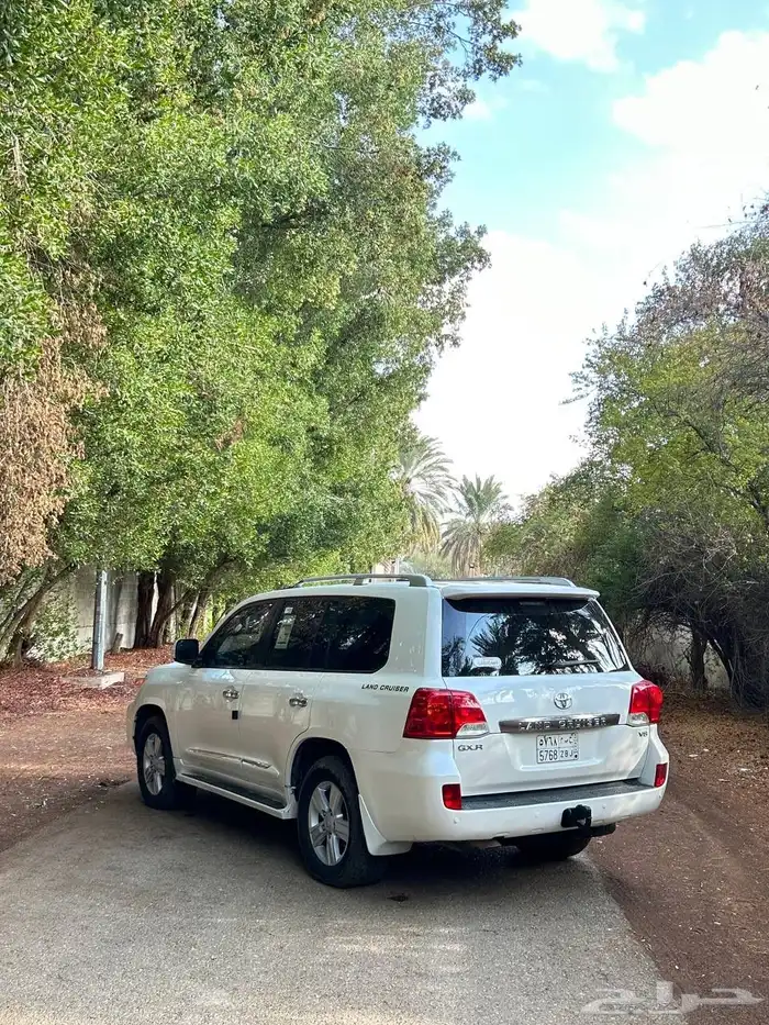 جيب للبيع 2013 8