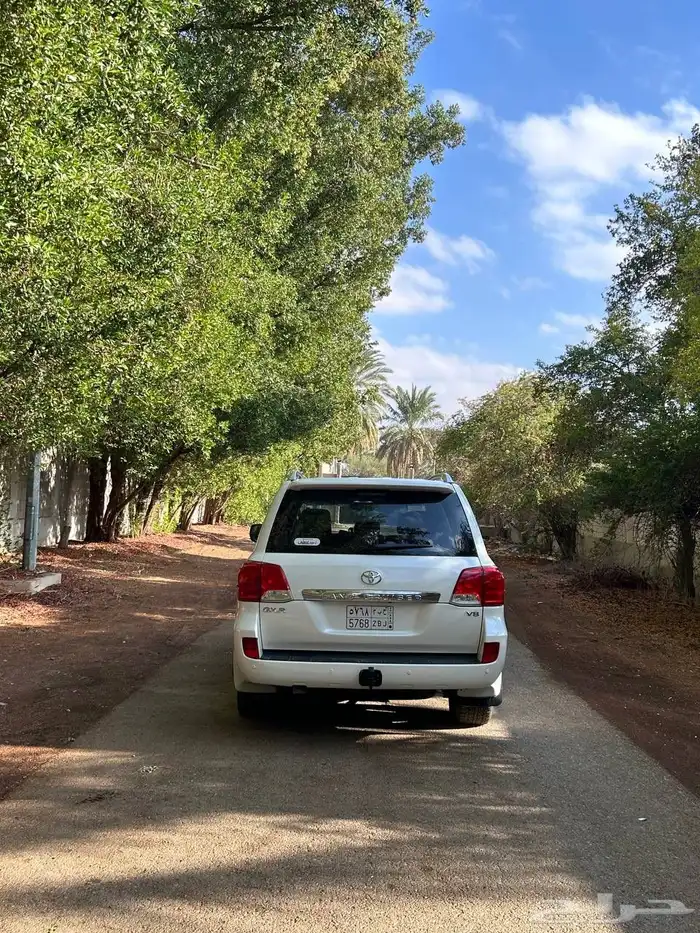 جيب للبيع 2013 6