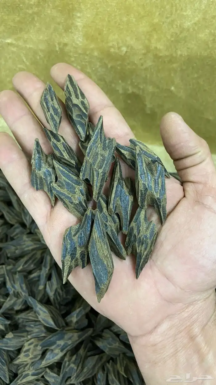 عود فيتنامي طبيعي محسن فاخر 1