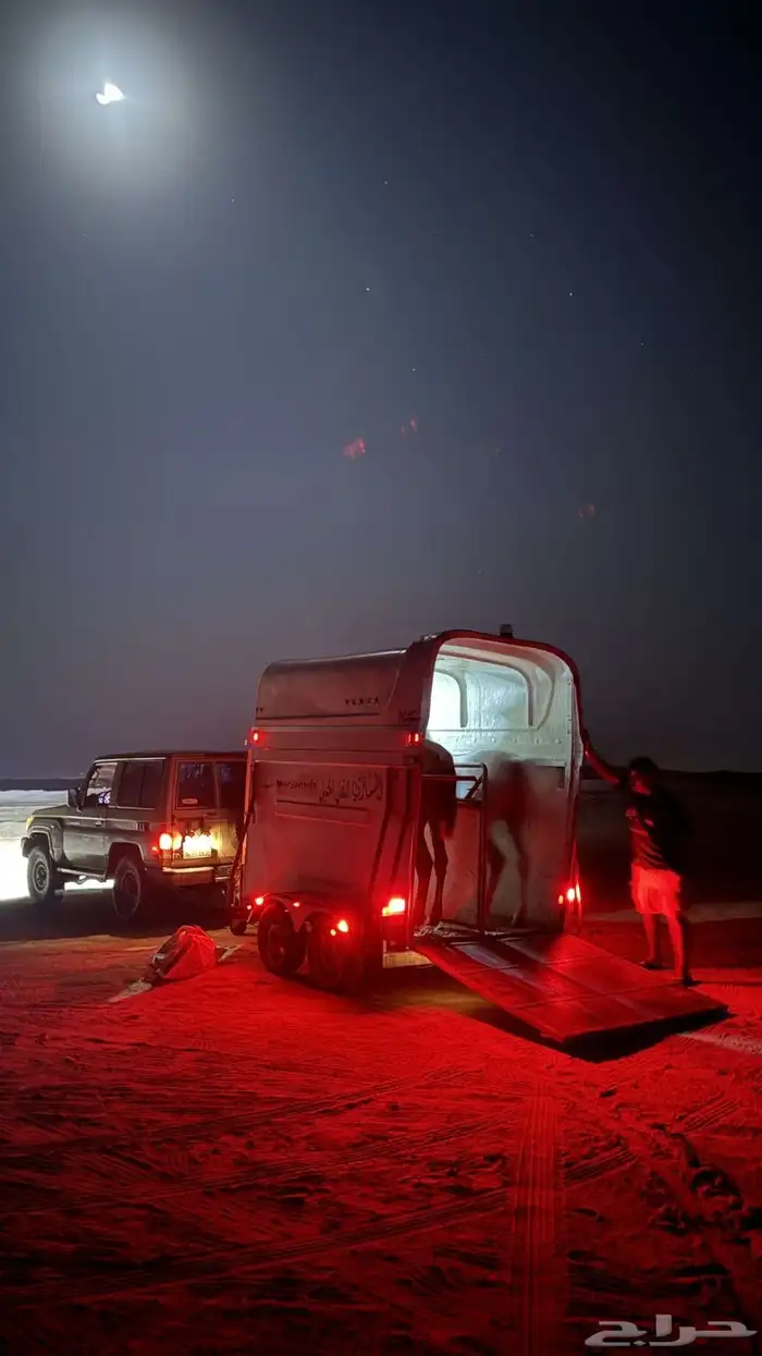 عربة نقل خيل 4