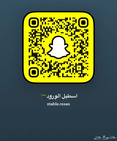 عسف الخيل وتدريبها 3