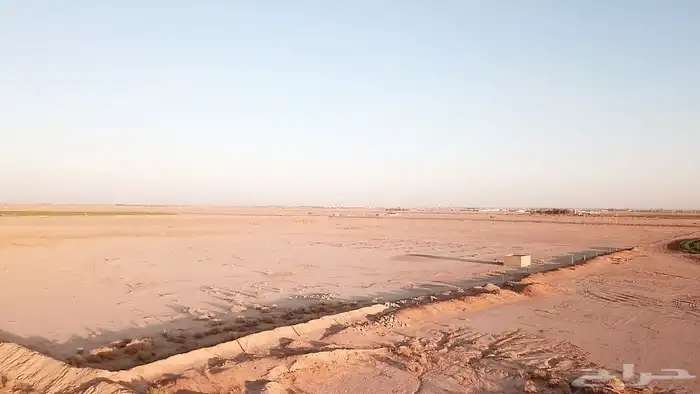 ارض زراعيه كبيره ( بقعاء) منطقه حايل 350 الف صافي 5