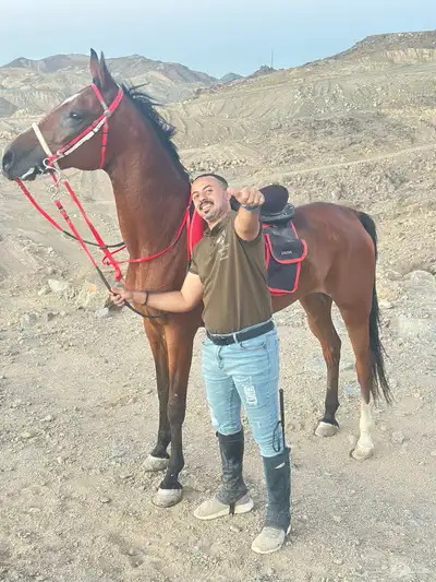عسف الخيل وتدريبها 0