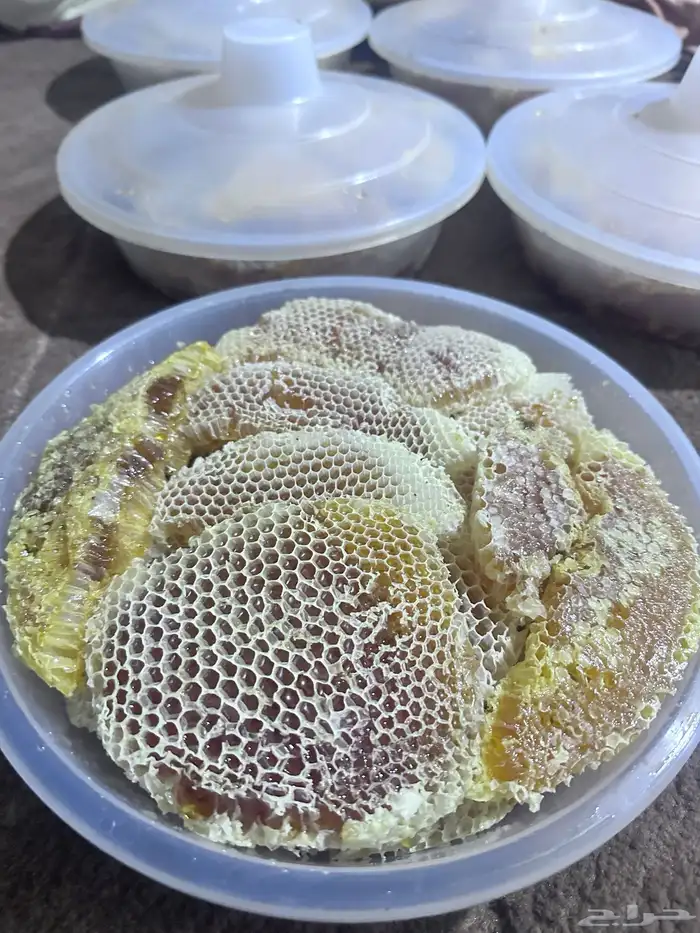 عسل سمر قص جديد من مناحلي الخاصه 1