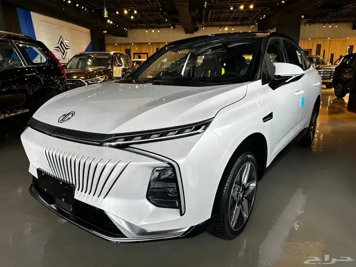 ام جي ويل 2024 1