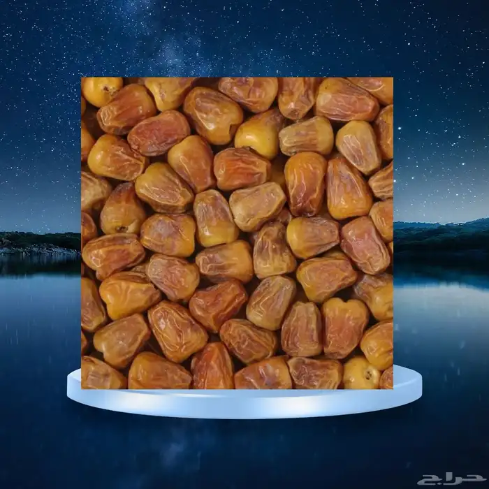 ماء زمزم وتمر عجوه المدينه 15