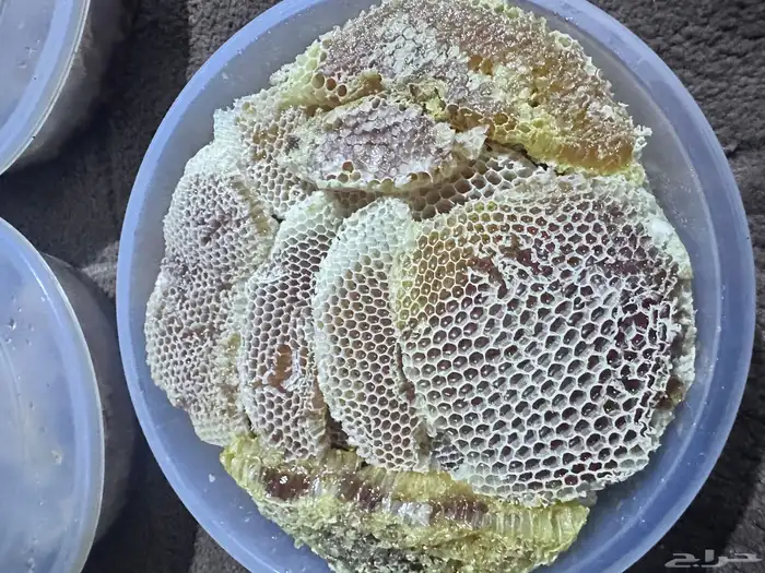 عسل سمر قص جديد من مناحلي الخاصه 2