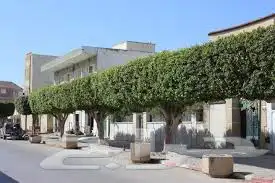 تنفيذ حدائق 9