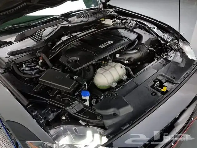 فور موستانج GT 2021 وارد كوريا 13