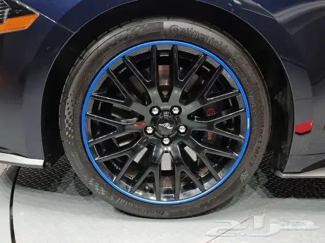 فور موستانج GT 2021 وارد كوريا 5