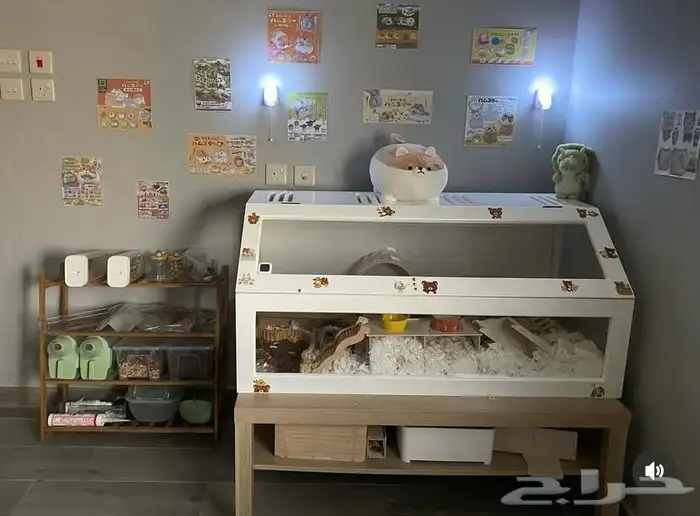 قفص كبير ابيض للبيع هامسترات ارانب قوارض دواجن للبيع 2