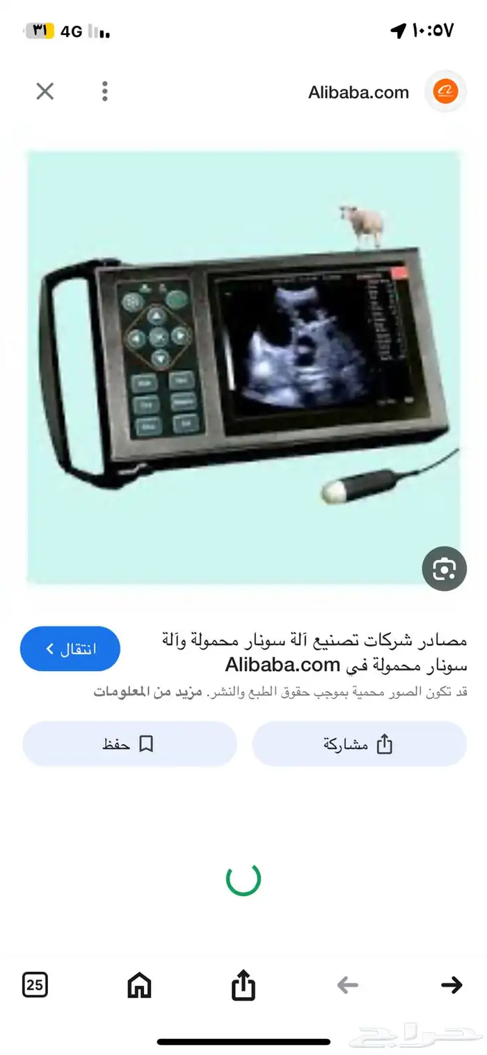 مطلوب فحص سونار غنم 0