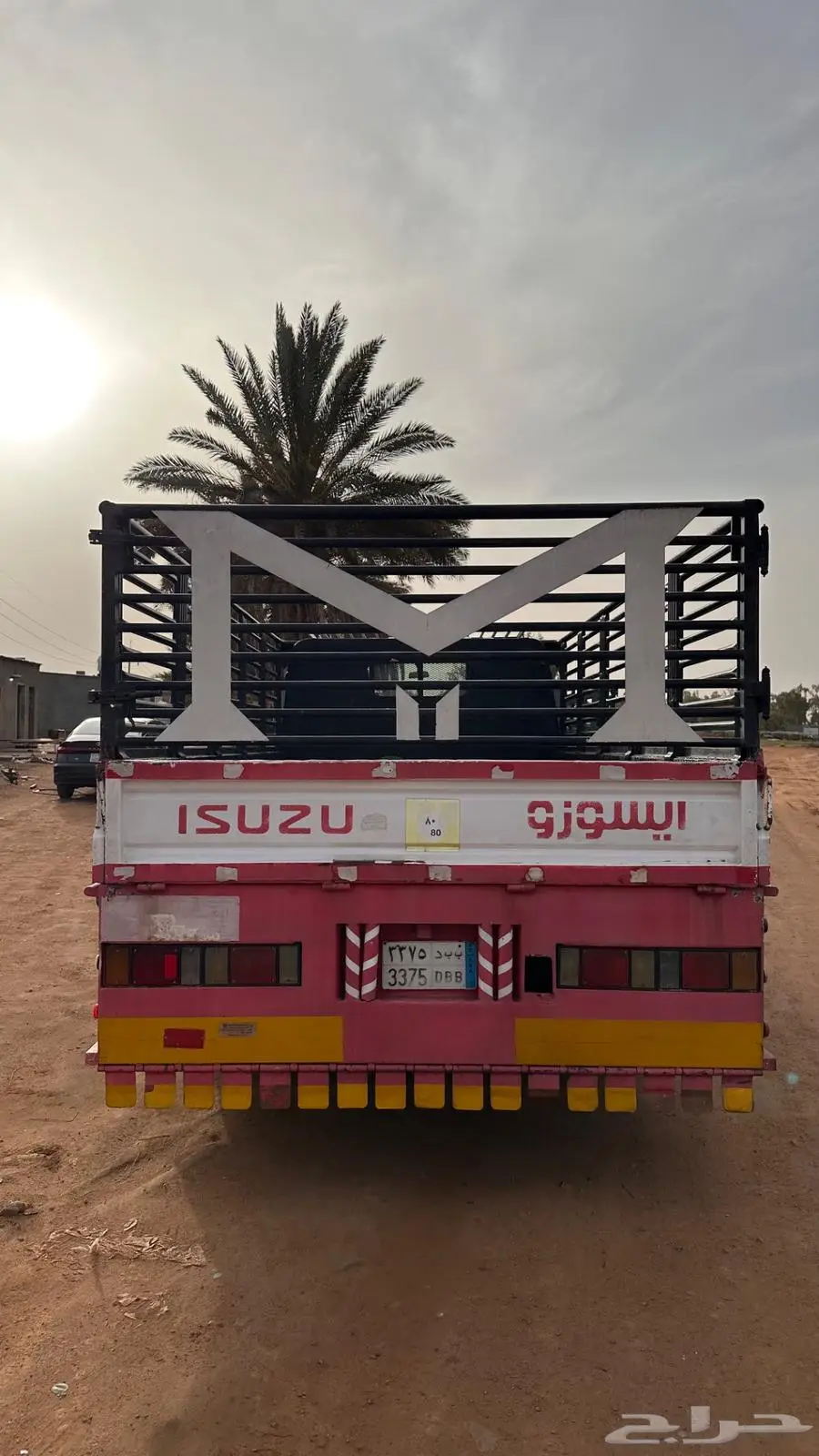 ديانه ايسوزو 0