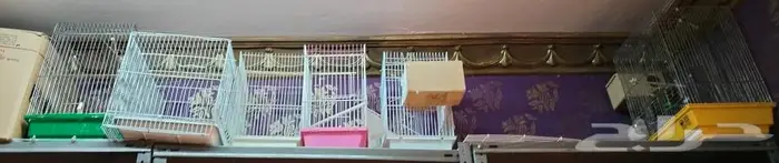 اقفاص و معالف اتوماتيكيه 0