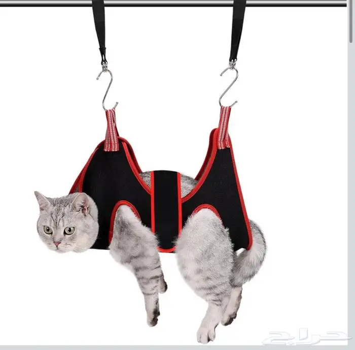 حزام تعليق القطط 1