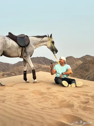 عسف الخيل وتدريبها 1
