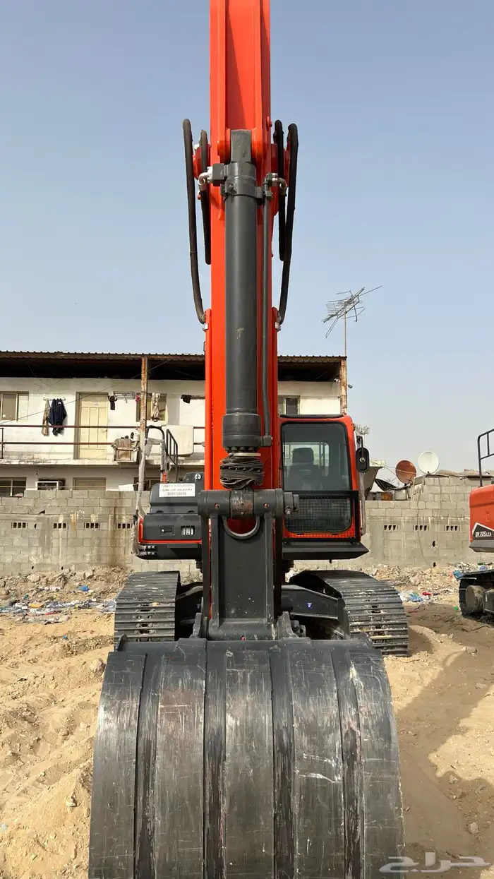((تم البيع)) 4 حبات دوسان 2023 5