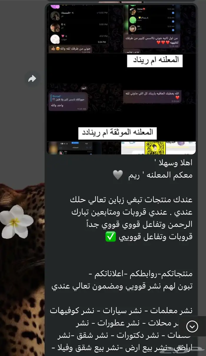 نشر ودعم جميع التواصل الاجتماعي 45