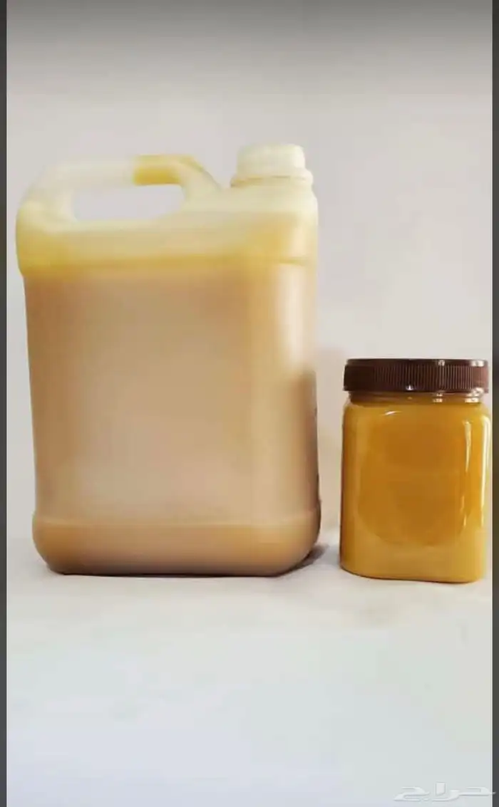 العسل السدر الحضرمي 1