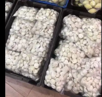 سمن غنم خاثر غنم زبده قشطه مقدوس لبن جبنه مفرزنات 9