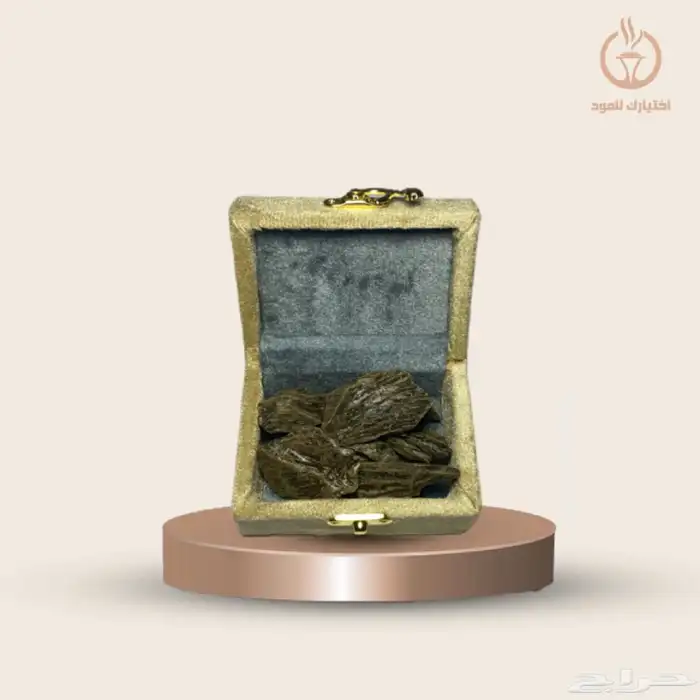 العود الازرق كلمنتان محسن 1