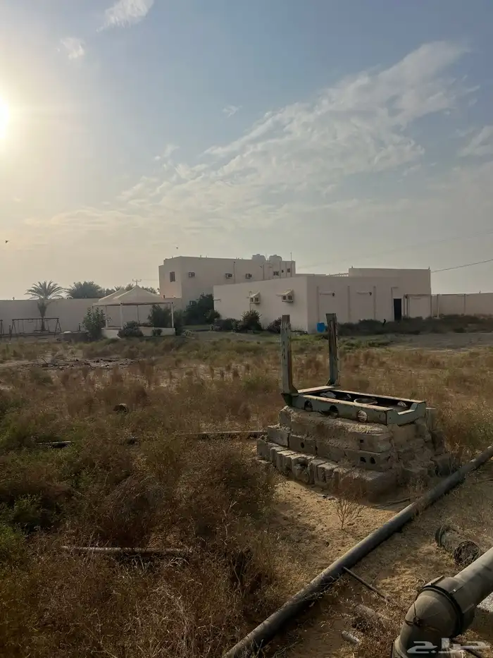 مزرعه للبيع 2