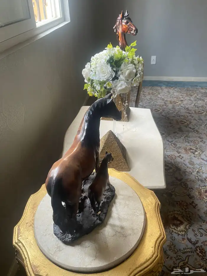 ثلاجة و تلفزيون و طاولة 5