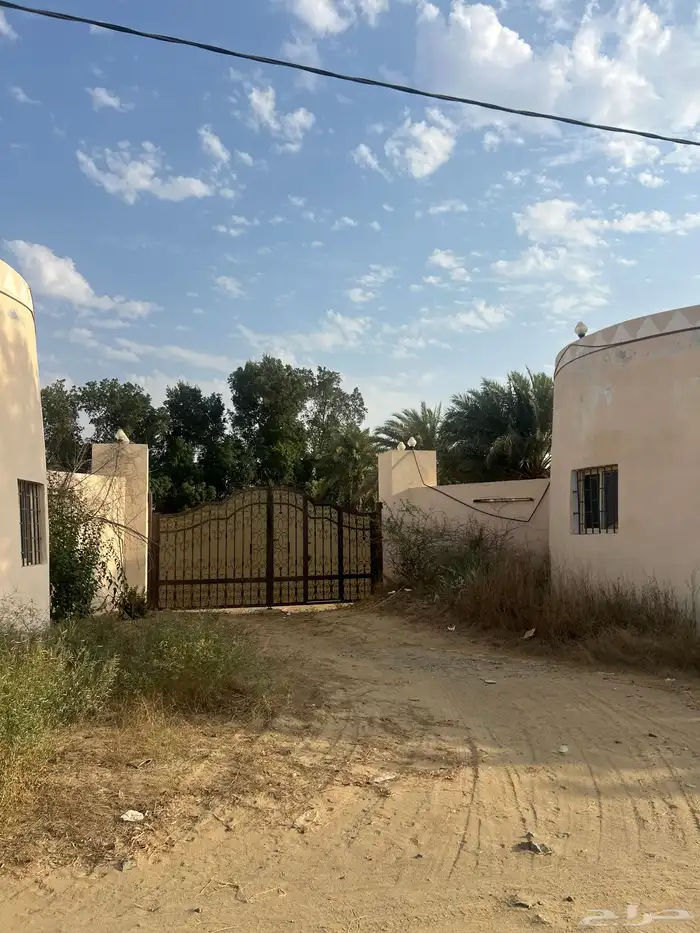 مزرعه للبيع 1