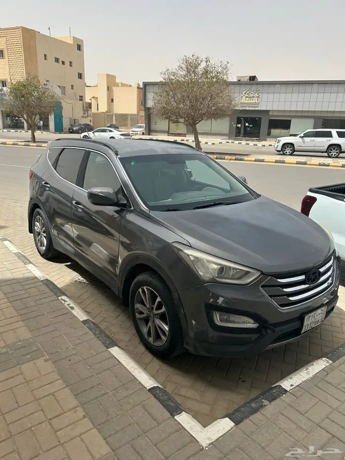 سنتافي 2014 5
