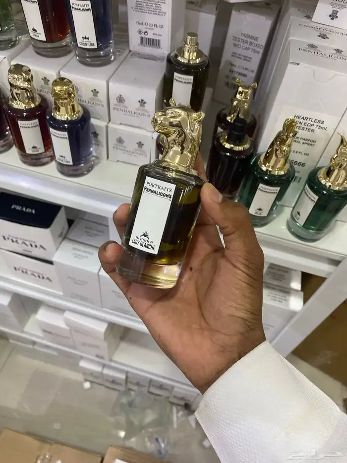 جميع العطور متوفره لدينا 37