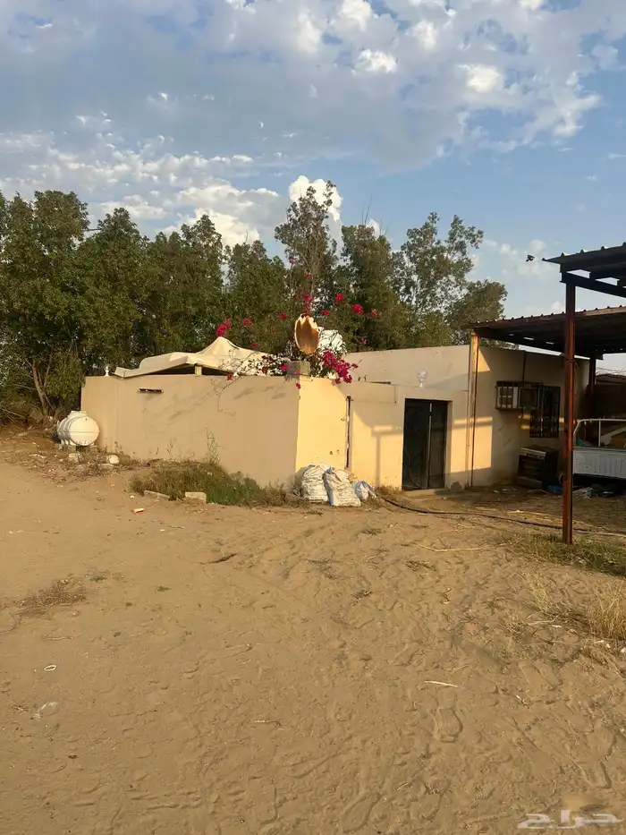 مزرعه للبيع 10