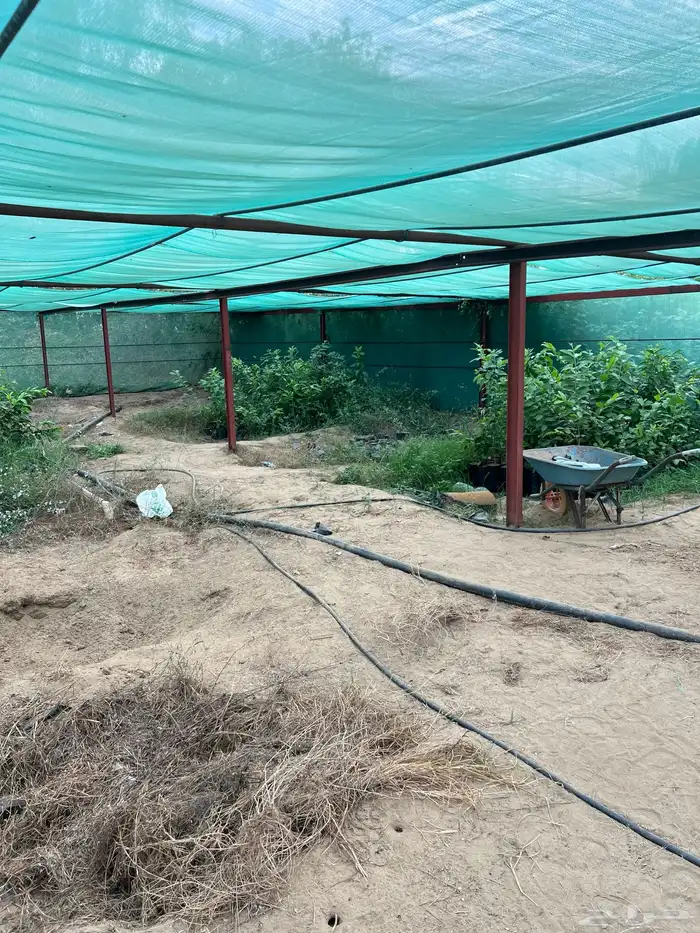 مزرعه للبيع 9