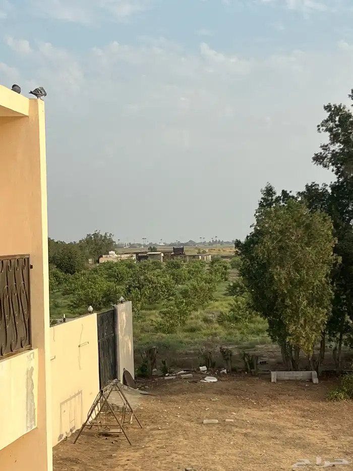 مزرعه للبيع 8