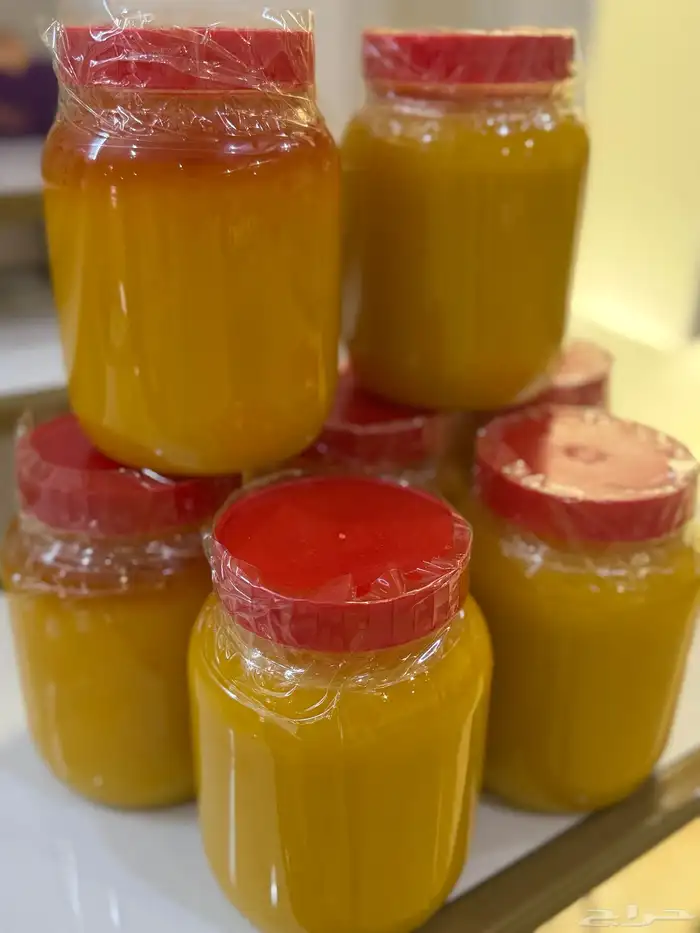 سمن بقر مشروط 1