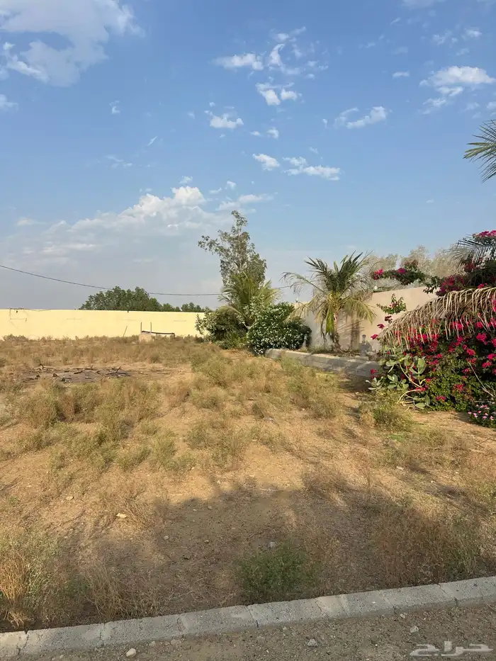 مزرعه للبيع 4