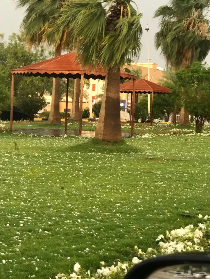 حفلات ومناسبات تنسيق كامل لمناسبتك 0