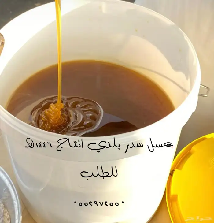 عسل سدر بلدي مضمون ذمه وامانه 1
