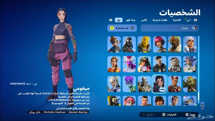 حساب فورت فيه 293 سكن 13