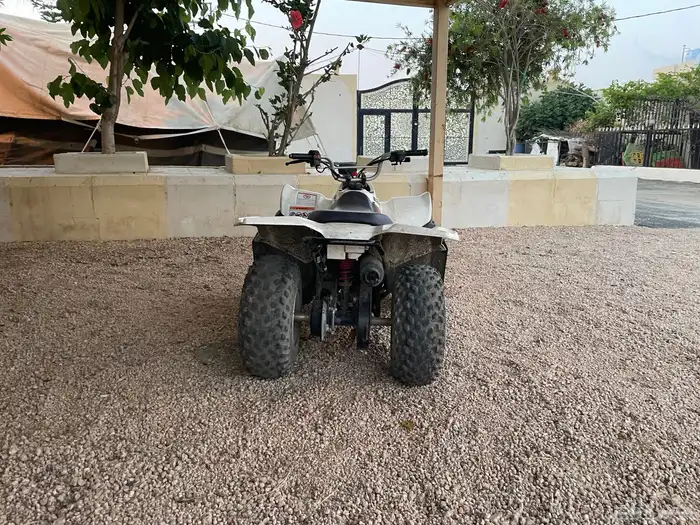 دباب 1