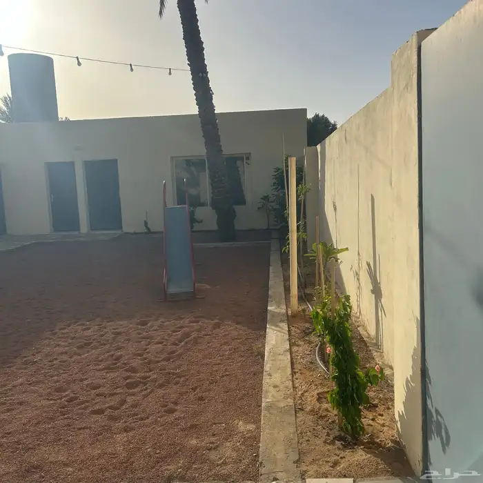 استراحة للايجار اليومي غرب بريدة 28