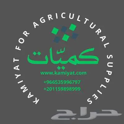 برسيم أمريكي مستورد من مصر 8