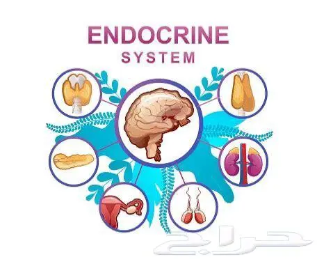 دروس شرح خاصة لطلبة كليات طب الأسنان 5