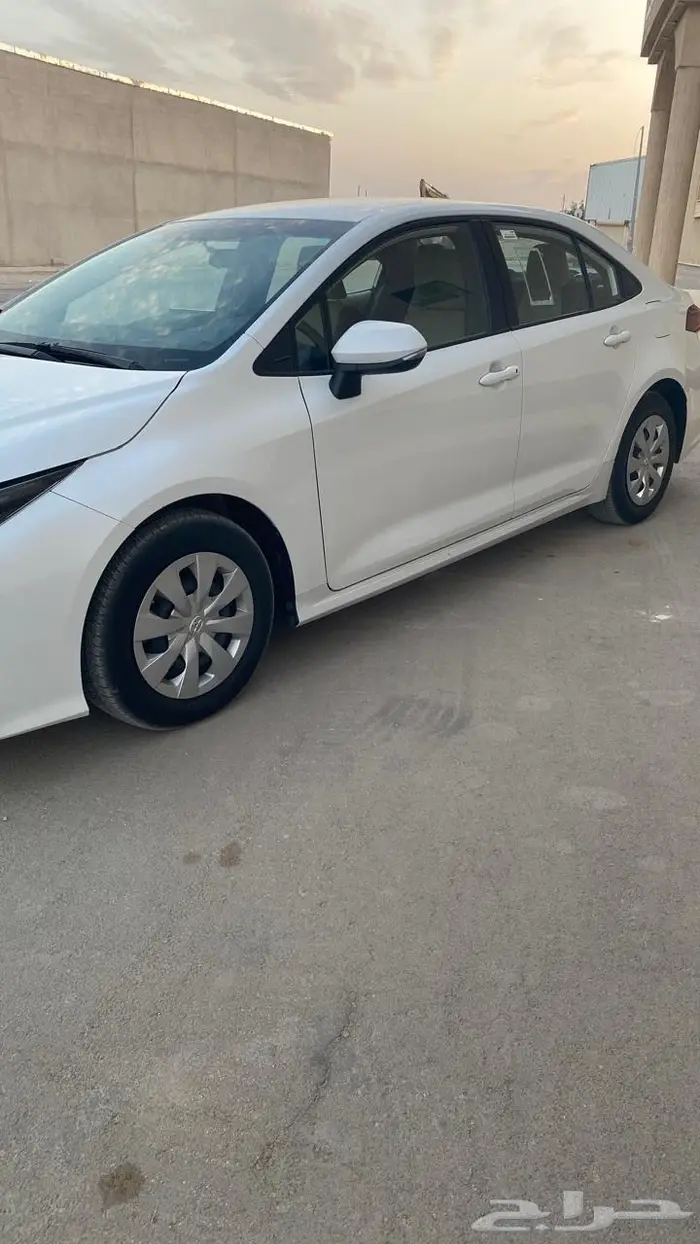 تم البيع 10