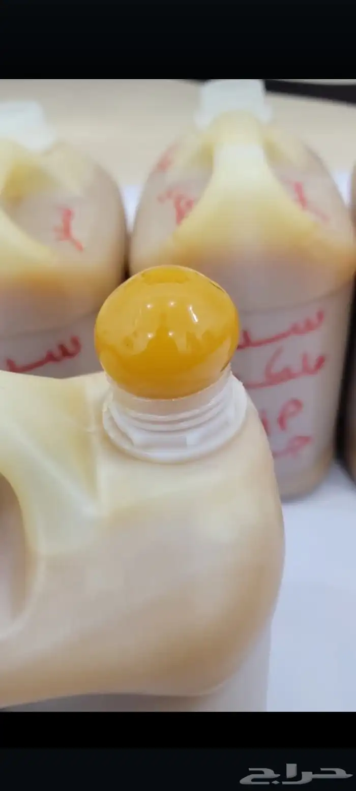 العسل السدر اليمني 1