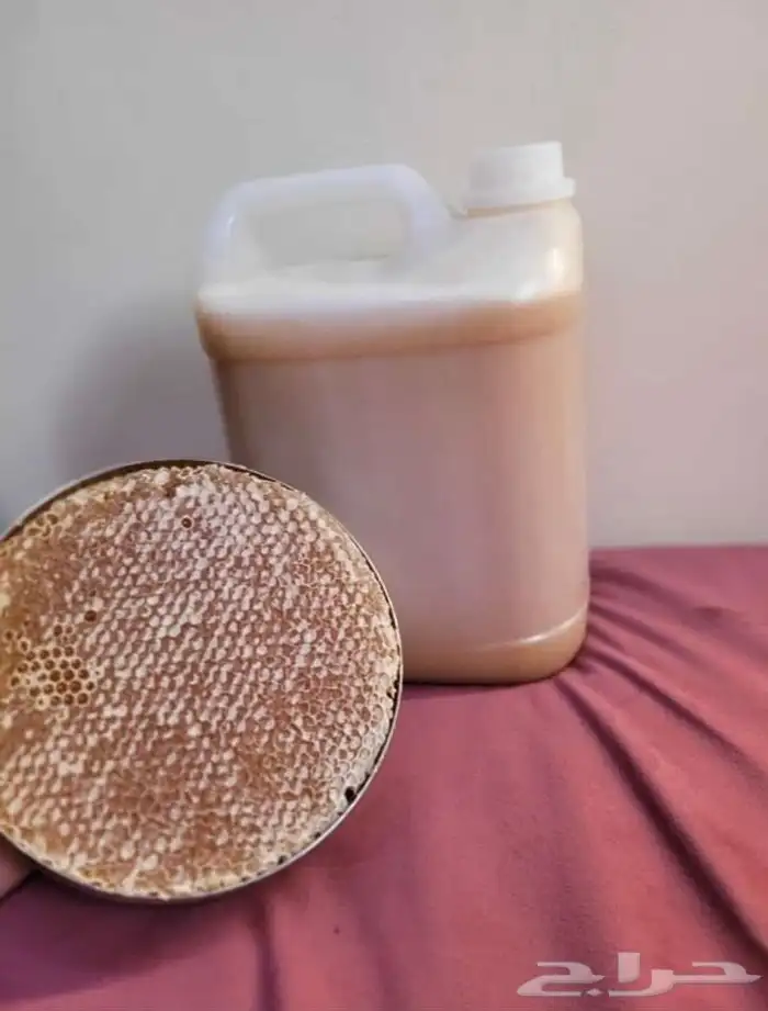 السدر اليمني الملكي الاصلي وعلا الشرط 2