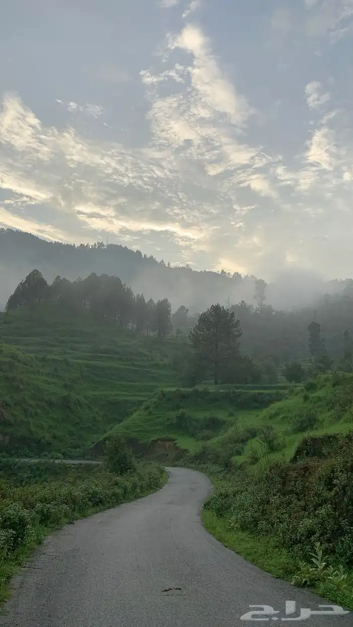 تصوير درون 1