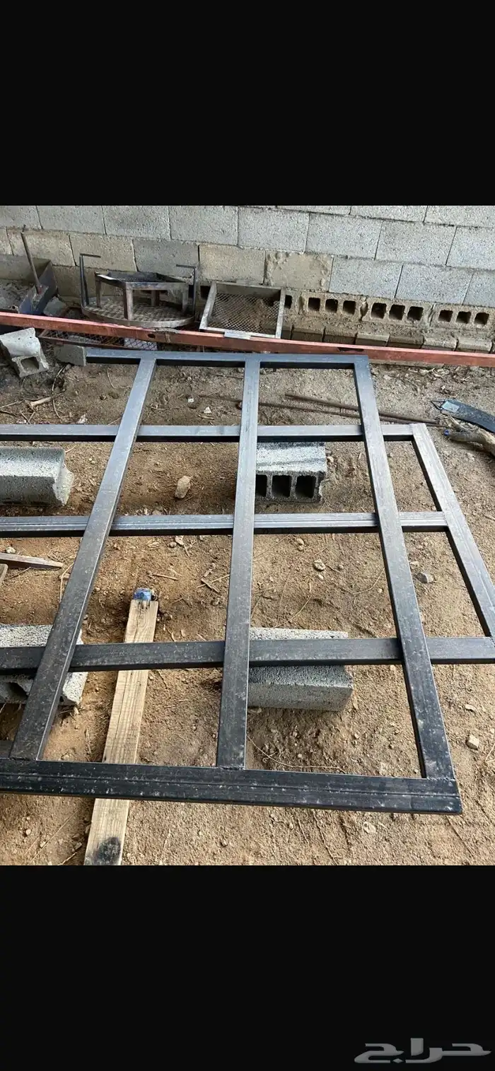 شبوك ابل 1