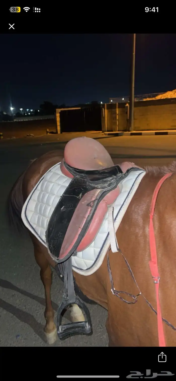 سرج هاي رايدن مع اغراضه كامله 0