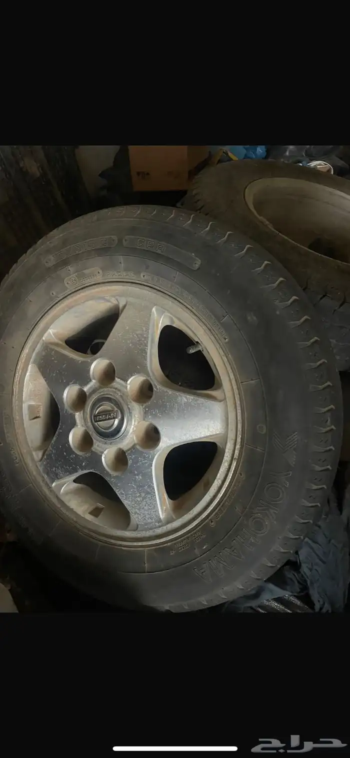 جنوط ددسن نجمه بكفراتها 0